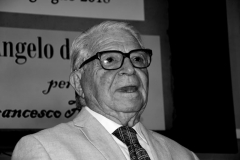 Angelo tutelare107