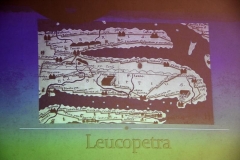 Leucopetra Verduci001