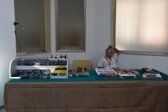 modellismo17