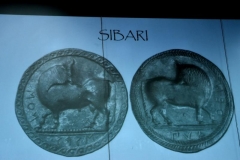 monete Castrizio067
