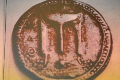 monete Castrizio121