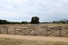 Museo Locri011