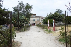 Museo Locri017