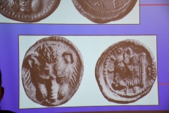 numismatica081