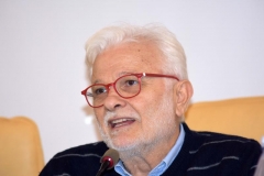 Ragioni del No046