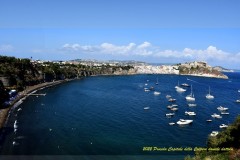 AAA_ccc3341-copia