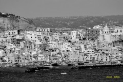 AAA_cfcfcf3361-copia-2